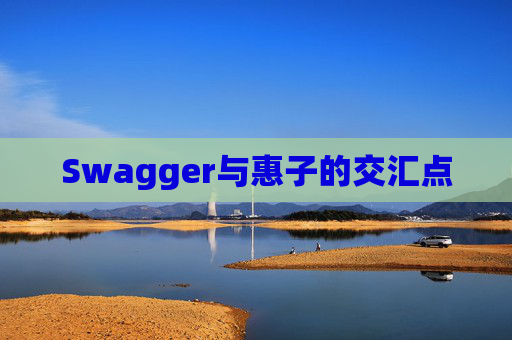 Swagger与惠子的交汇点